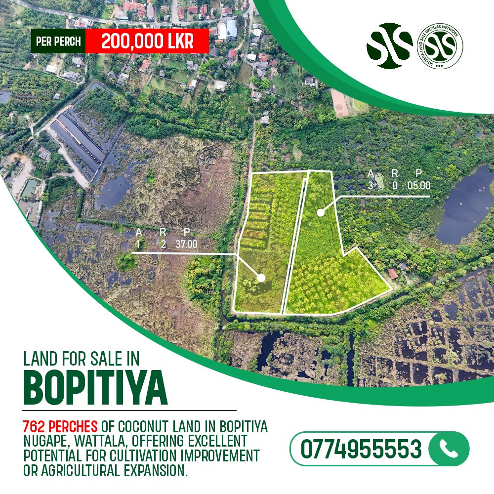 RealThusitha's tweet image. 🚩 762 perches of coconut land in Bopitiya – Nugape, Wattala, offering excellent potential for cultivation improvement or agricultural expansion.

See more on ikman: ikman.lk/en/ad/cultivat…

#SLS #RealThusitha #Wattala #Bopitiya #Nugape  #Gampaha #SriLanka
