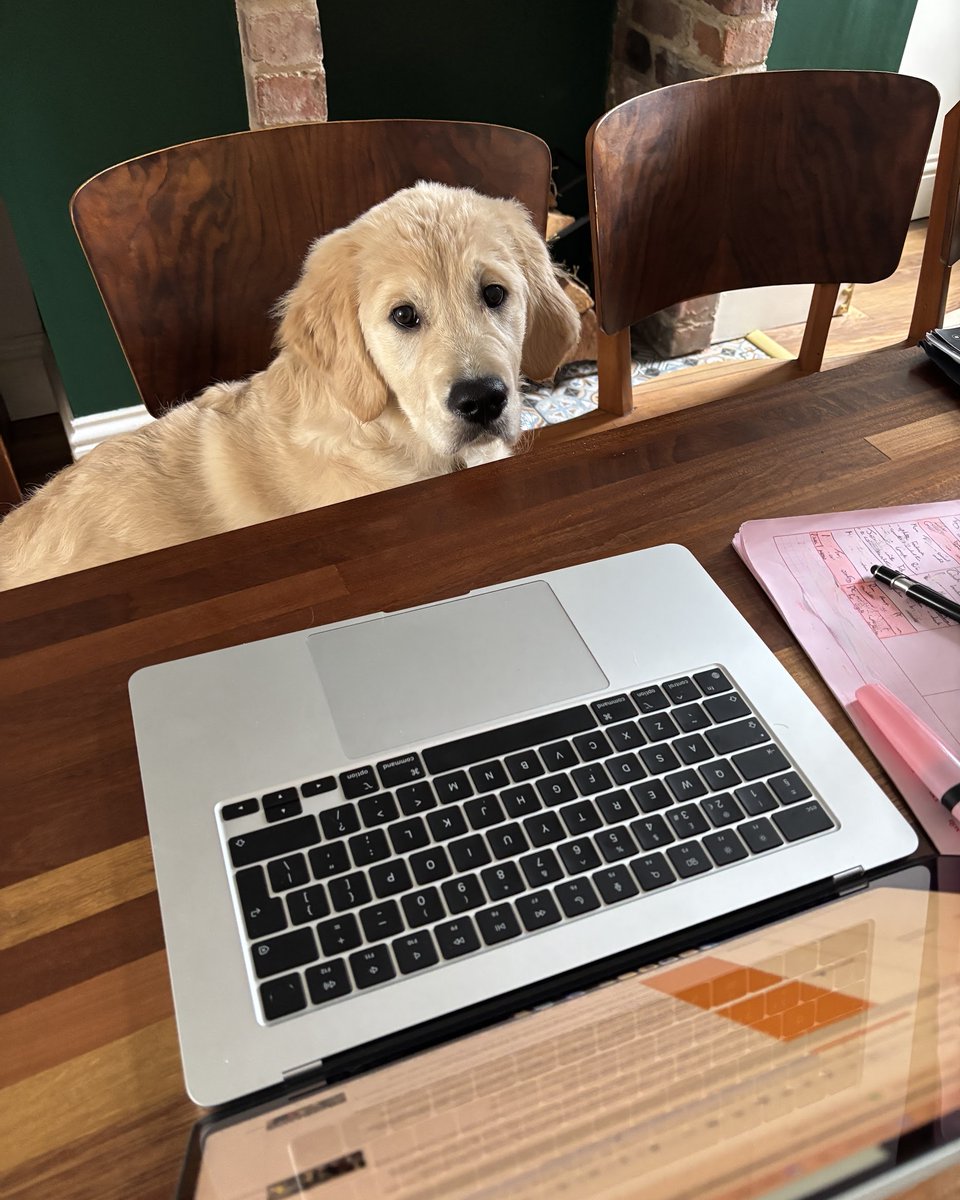 GLOW Creative Marketing tweet media