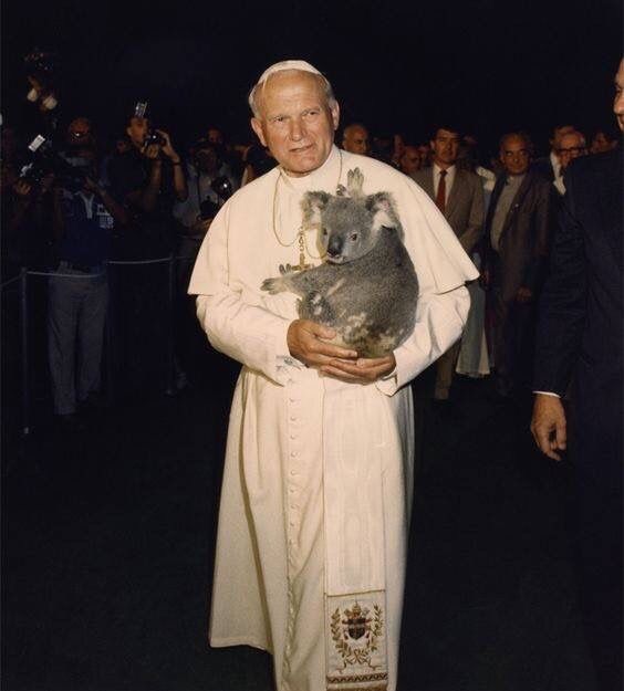 Pope Benedict XVI and St. John Paul II with koalas 💗🐨 #popebenedictxvi #popejohnpaulii