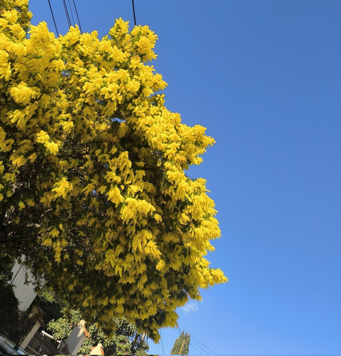 Enfin, un peu de soleil, il était temps !
Nous avons une grosse pensée pour nos amis en vigilance crue!🙏🙏🙏
#Cotedazurfrance 
#tempête 
#Nils