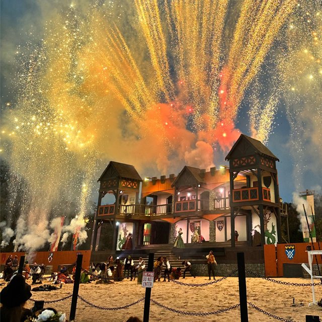 USA Today Best Renaissance Fair Awards
We're moving up the ranks! Keep the momentum going with your daily vote! Voting ends at noon on Monday, March 2 and winners will be announced on March 11.
tinyurl.com/m38sryyv