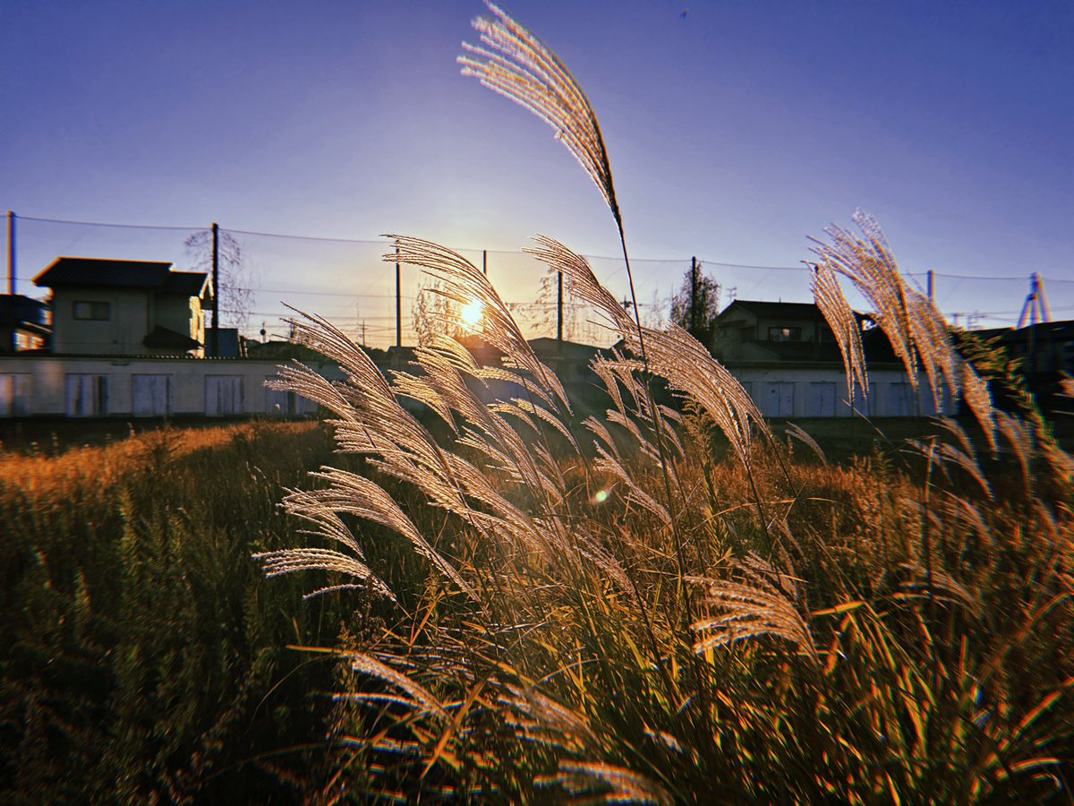 6話ぶん完成。
<a href="/tx_akunohana/">鈴木福×あのW主演「惡の華」2026年4月9日(木)深夜24時放送スタート【テレ東公式】</a> 
#ドラマ惡の華