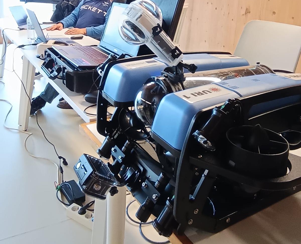 PeriziaPleamar tweet media