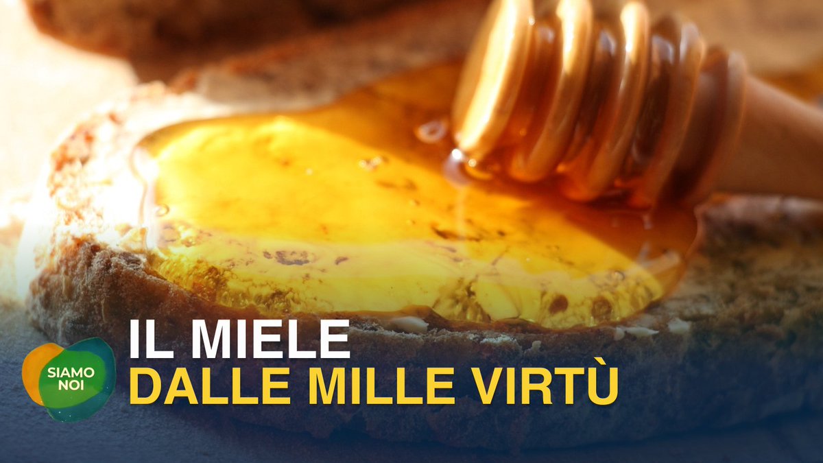 TV2000it's tweet image. Il #miele: un alimento antico che la scienza continua a riscoprire. Non è solo zucchero, contiene enzimi, antiossidanti e proprietà antibatteriche naturali. Ma qualità e lavorazione fanno la differenza. Scopri di più alle 15.15 a @siamonoitv2000 

#17febbraio #canale28