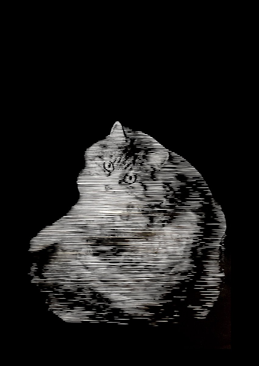 奈美 (@shi112) / Posts / X