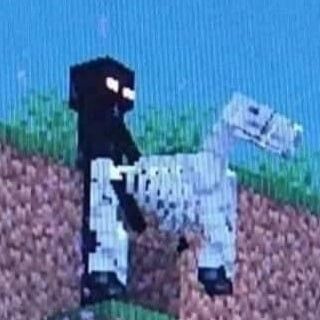 Enderman's tweet photo. who tf took this pic https://t.co/NL4DDmrUZn