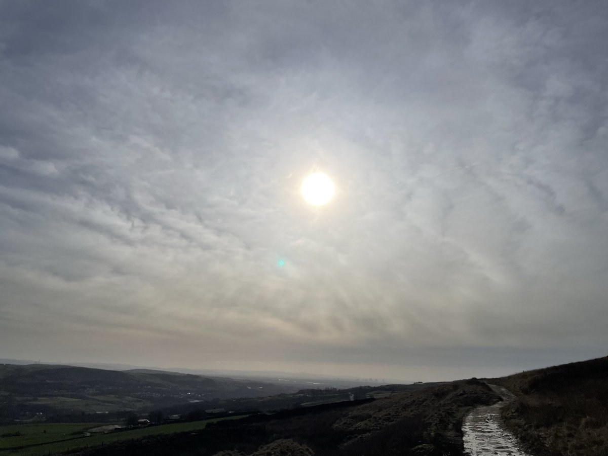 MANC.eth tweet media