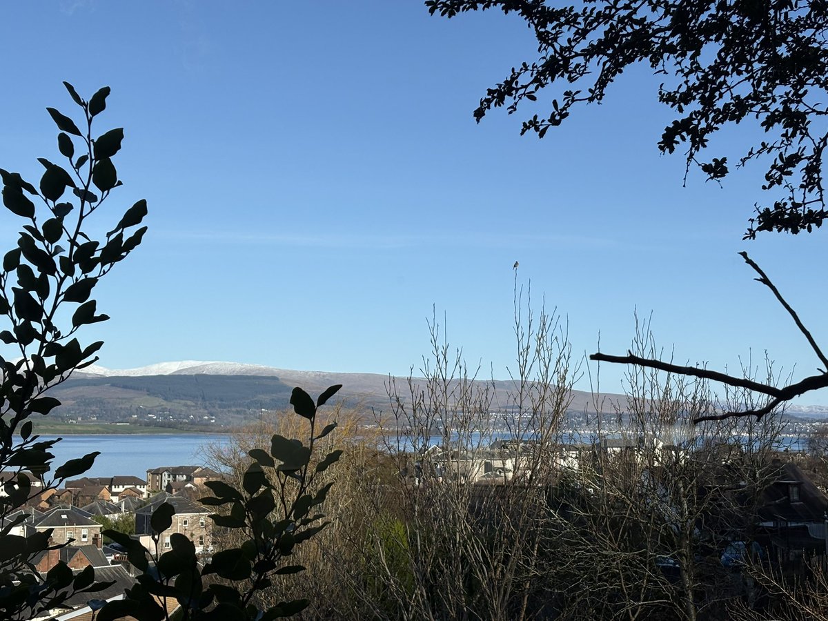 You know you’re getting old when you get a day like this and your first thought is, oooh I can clean the windows 🙈