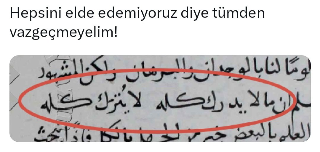 Mehmet Okur محمد أوكور (@okur14) on Twitter photo 