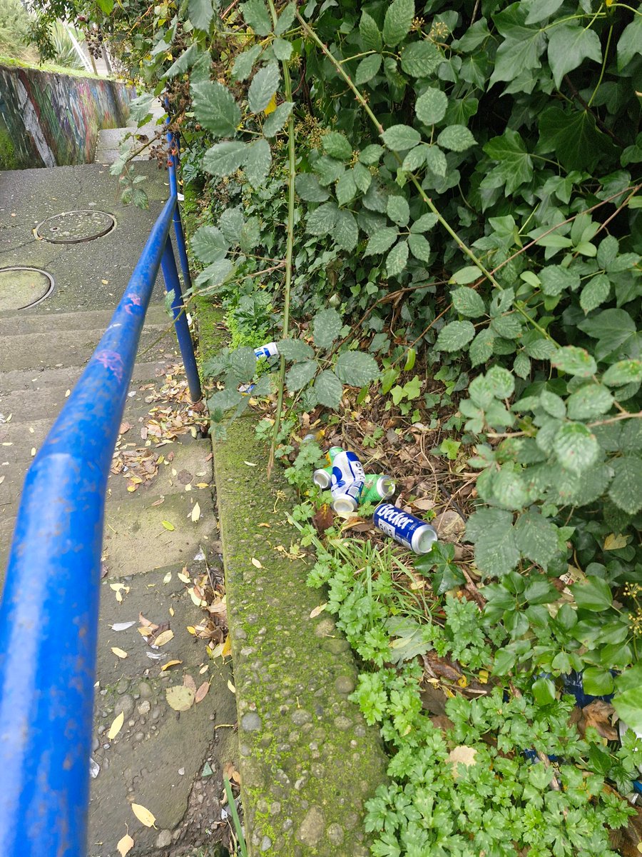 comiteseminario's tweet photo. ABANDONO ESPACIO PÚBLICO🚨Escalera de Luis Ross, sector Seminario. Sin luz, deteriorada y con problemas de seguridad. Es un espacio de tránsito diario. Necesitamos soluciones. @MuniPuertoMontt https://t.co/nwMLKGT3N6