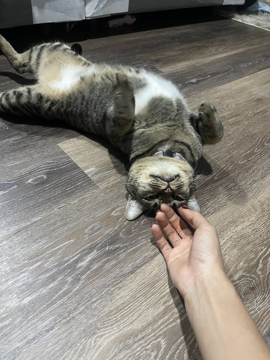 ในที่สุดดดด😭 ฮื่ออออออออกำไลยอมเล่นด้วยแล้ว😭