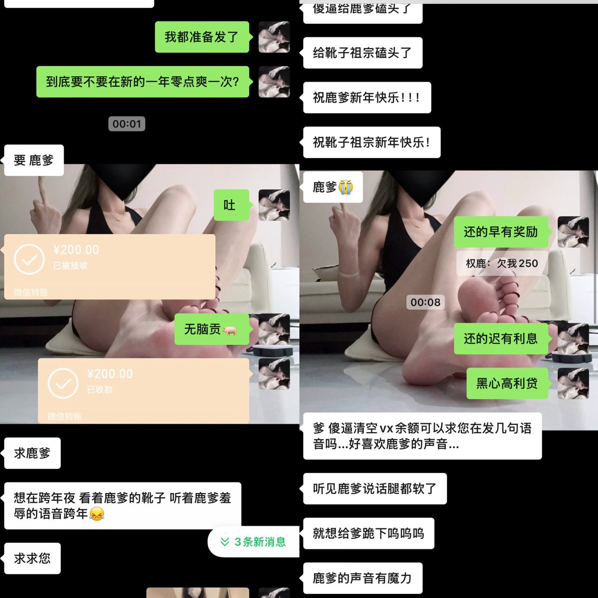 权鹿Dom tweet media