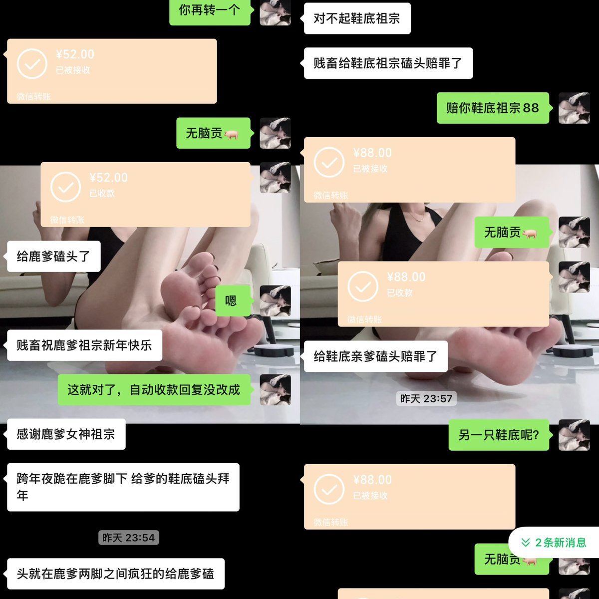 权鹿Dom tweet media