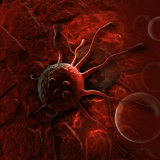 SAHEL Brut tweet media