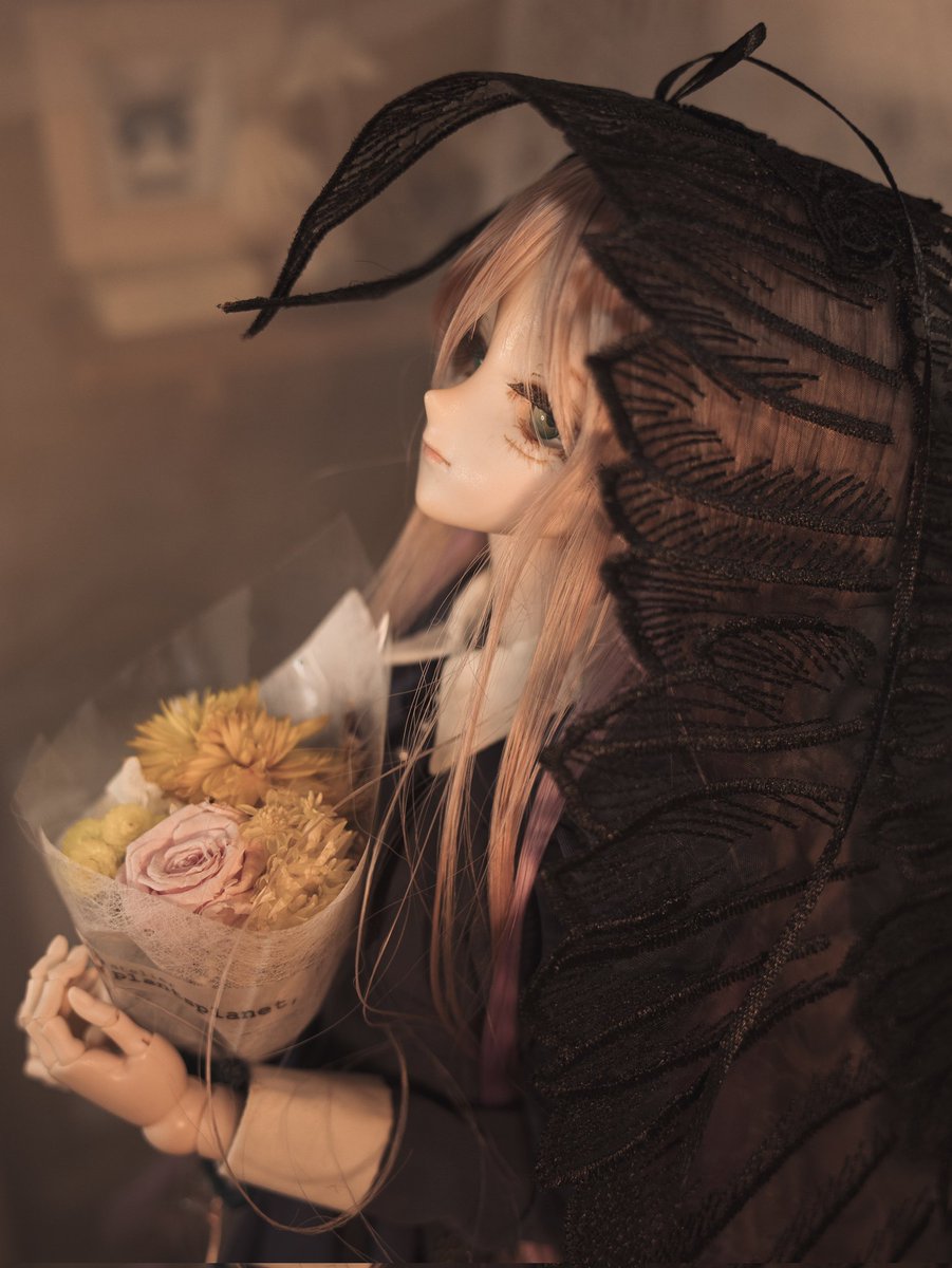 #今夜のドール撮影120分一本勝負
今夜のお題は【よこをむく】
遠い眼差し

#Anemonecloset