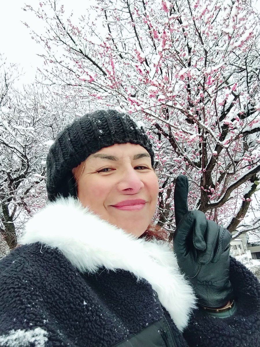 cutiejoy319's tweet photo. What a magical experienced for me, I am now in Tokyo again, and so blessed to see both of 2 seasons. 🇯🇵✈️🌎

#WinterInTokyo2026 🇯🇵❄️🌸
#WinterMeetSpring ❄️💙🌸
#ThankYouLordForTheBlessings 💙🙏❤️ https://t.co/O1MLznJad1