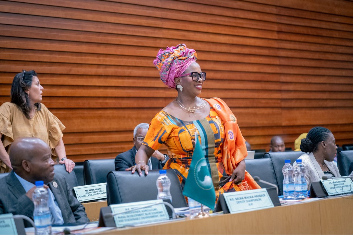 African Union | Infrastructure & Energy tweet media