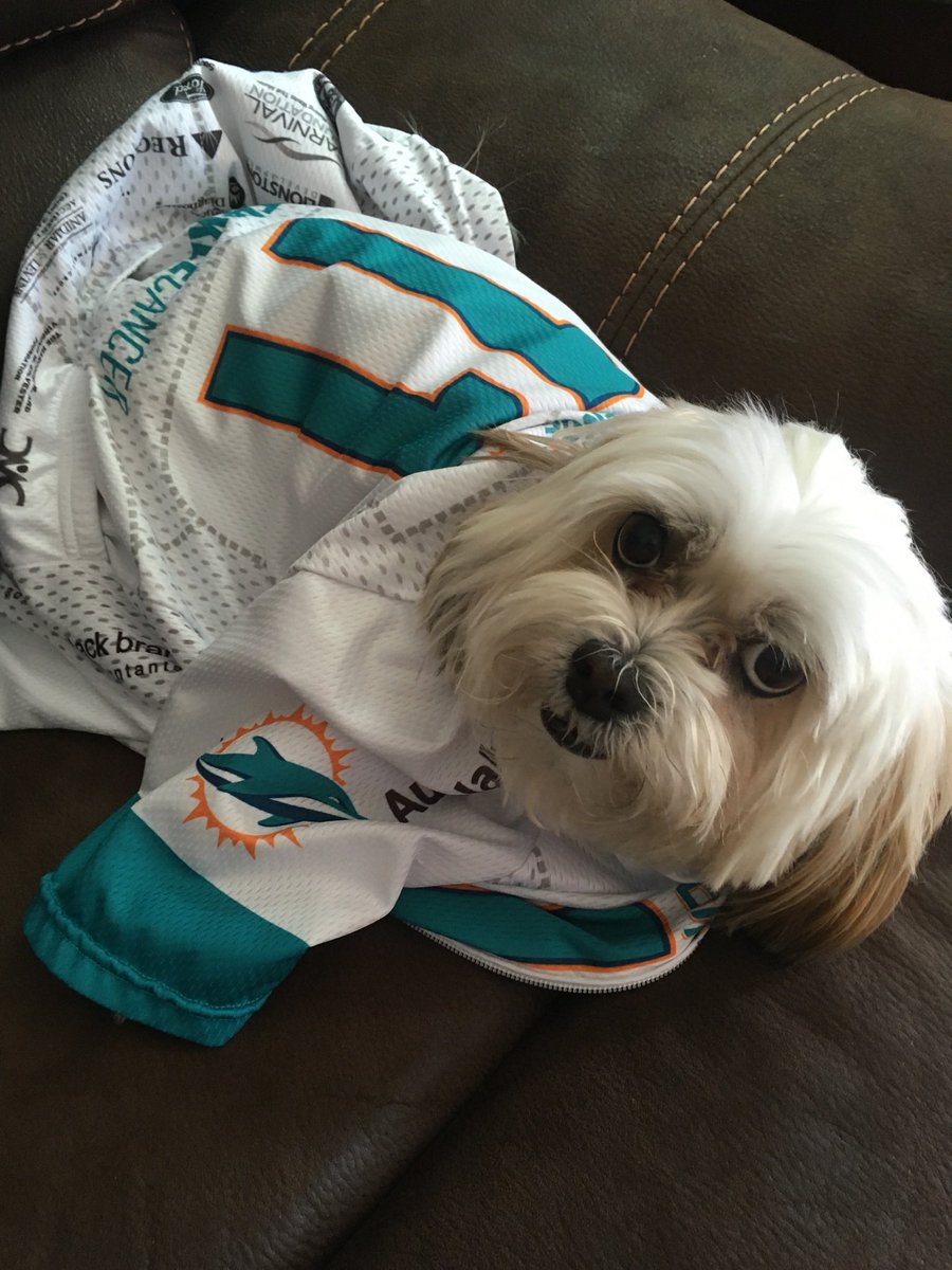 finatic1972's tweet photo. LETโS GOOO!!! Only 11 days โtill Dolphins Cancer Challenge 16โผ๏ธ Donate $10 & be included in raffle for $100 @Canes_Wear Gift Card๐ฅ
Please share & help me TACKLE Cancer๐ช๐ฝ๐๐ฝ๐๐ฝ #DCCXVI #OneTeamOneFight #FinaticsFightingCancer #CanesAgainstCancer
Donate๐๐ฝ
https://t.co/3FgvBZ0nxM https://t.co/SKExDkHr6u