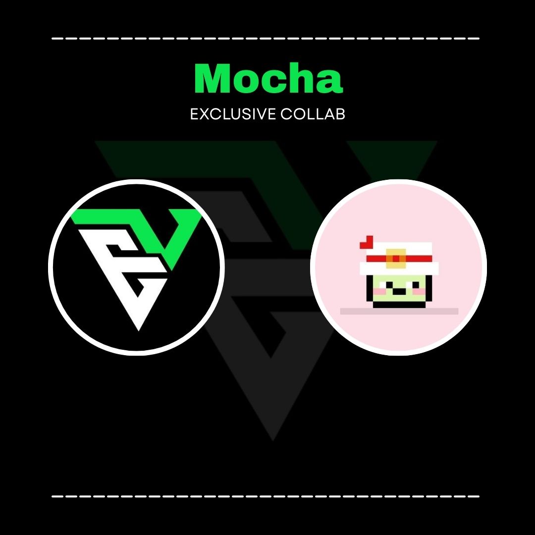 Elite Visions tweet media