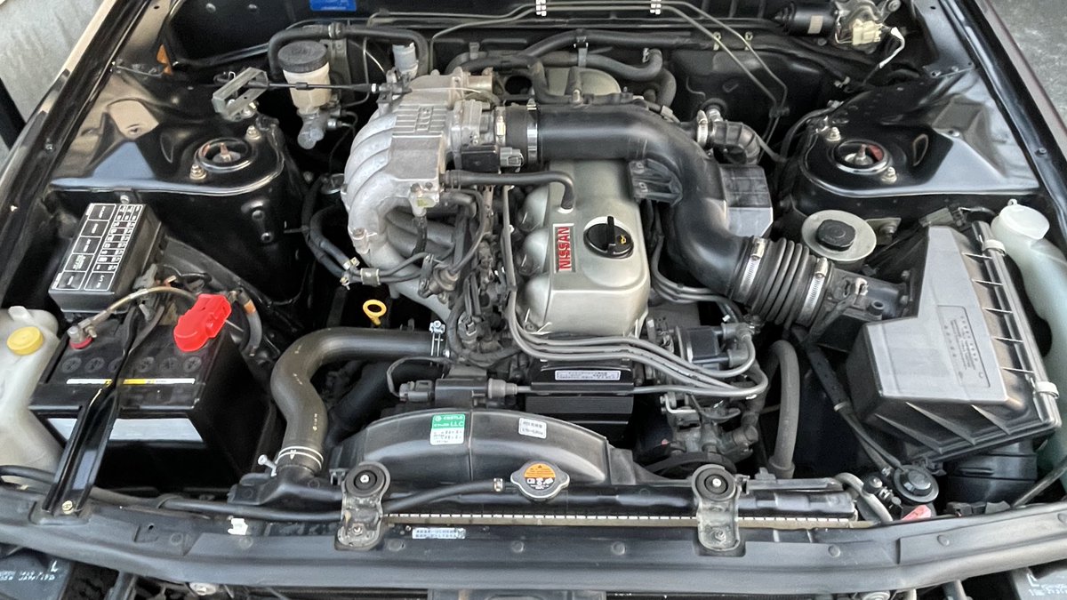 そんなにホンモノの"羊"が見たいか？