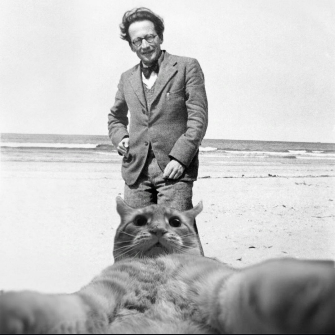 Erwin Schrödinger and his cat photographed together at a beach. 😼