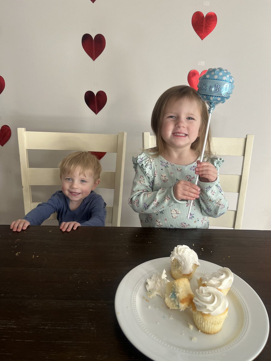 Alex Van Krevelen tweet media