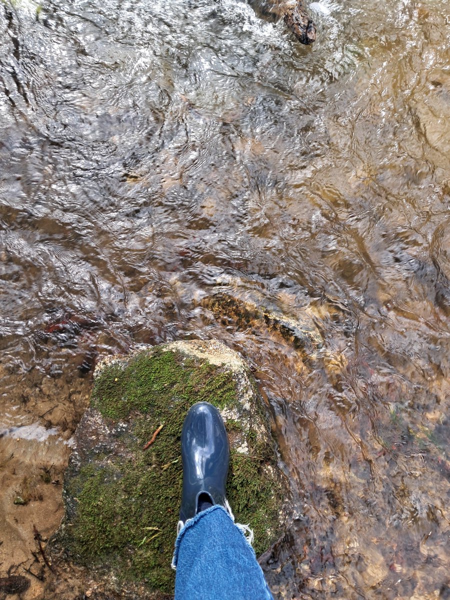 Uol Free (@uolfree) on Twitter photo 