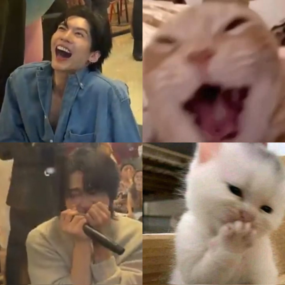 The way they laugh very differently😭😭

#OnlyFriendsDreamOnLive #aouboom