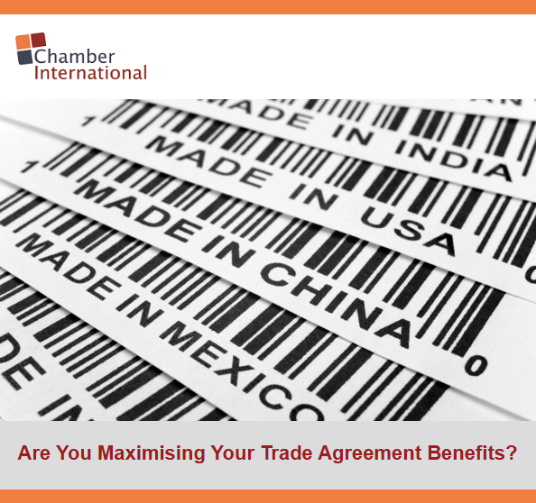 #ChamberIntTraining tweet media