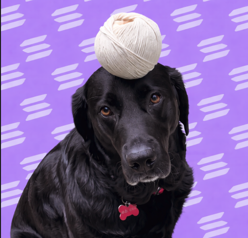 defiliquid tweet media