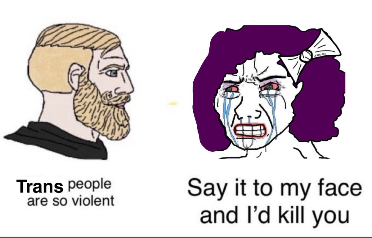 Mostly Peaceful Memes (@mostlypeacefull) on Twitter photo 