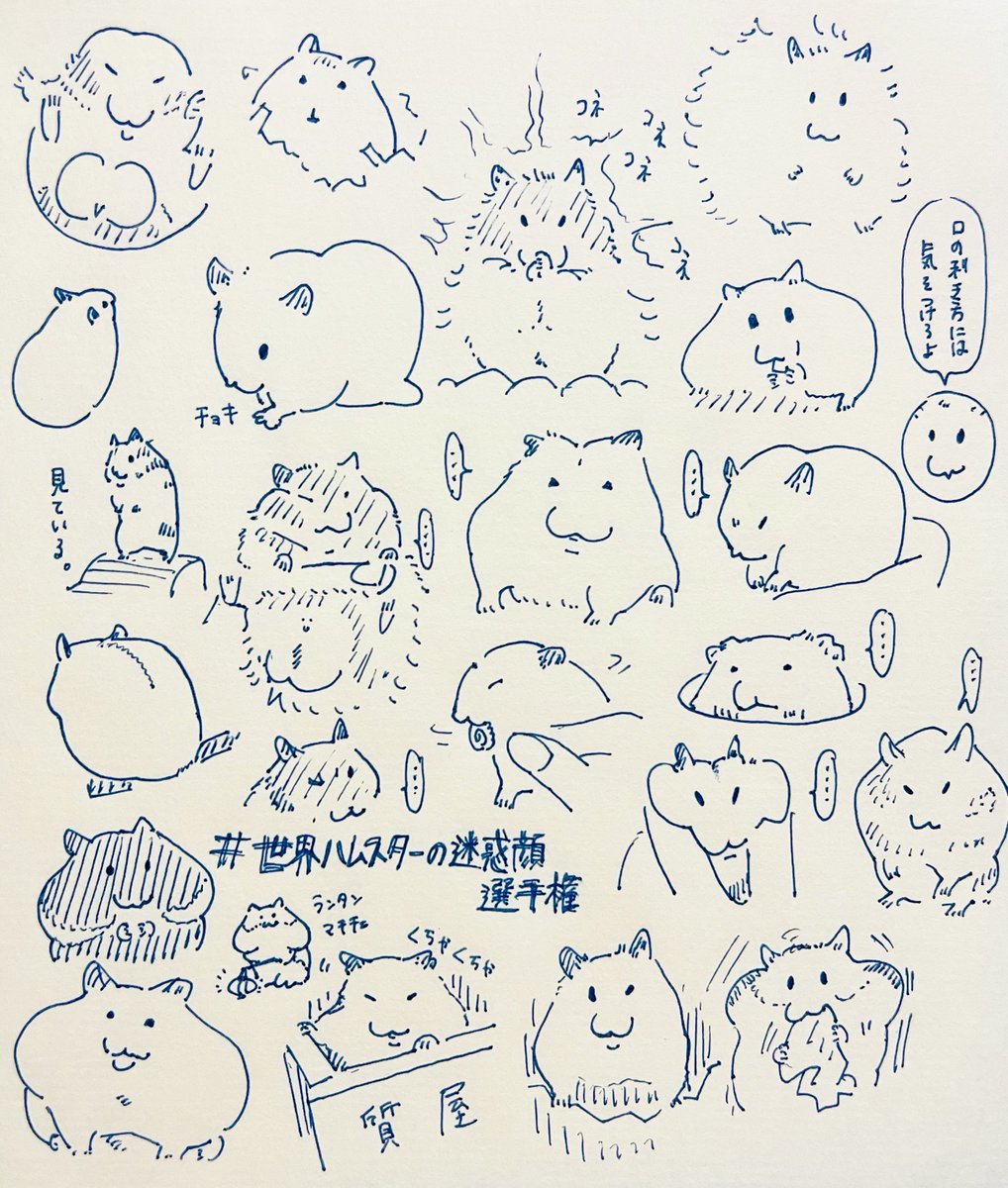 TLの🐹