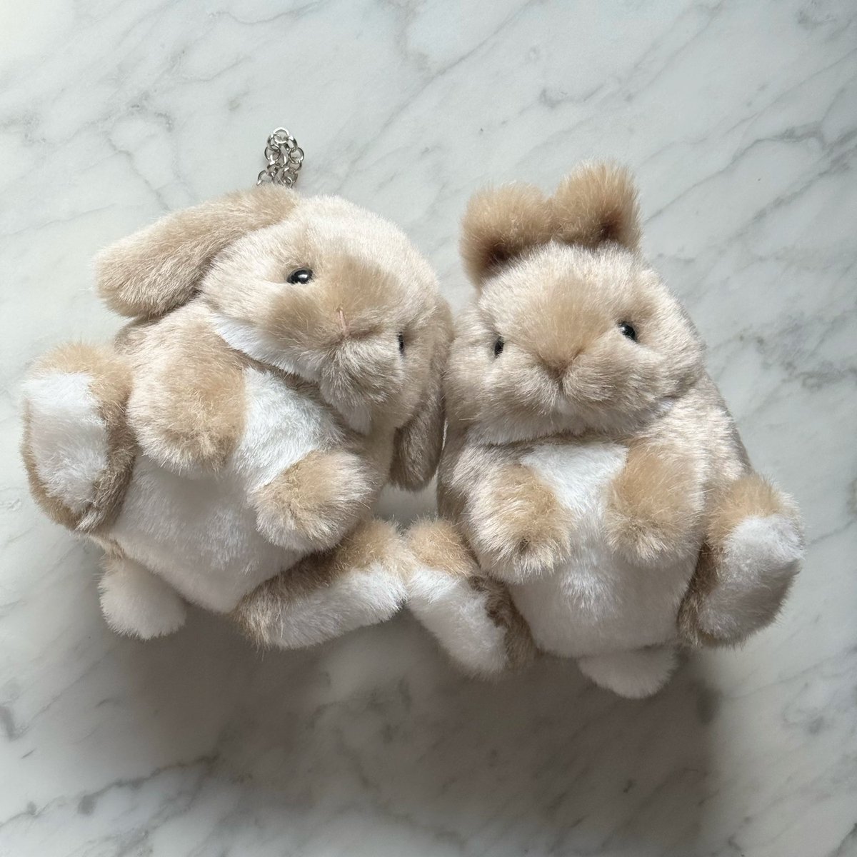 Bonita Rabbits🐰デザフェス63 5/23,24 (@rui0104457516) / Posts / X