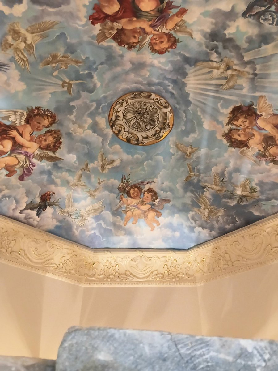 بهاء شاهين tweet media