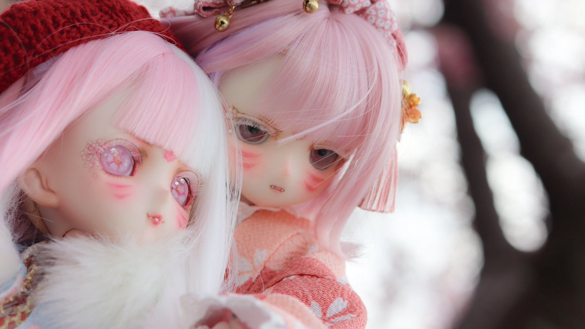 風に煽られたら、ふわり
　　　春の足音。

#大社っ狐