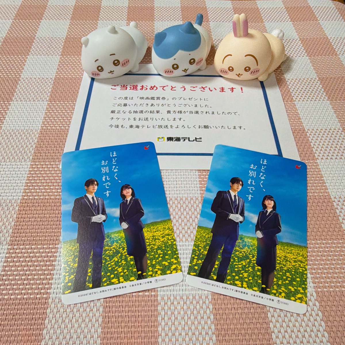 miyu (@miyu_hachiware) / Posts / X