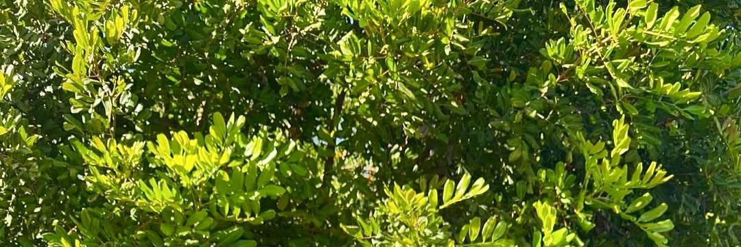 𝗗𝗮𝗺𝗶𝗻𝗶 tweet media