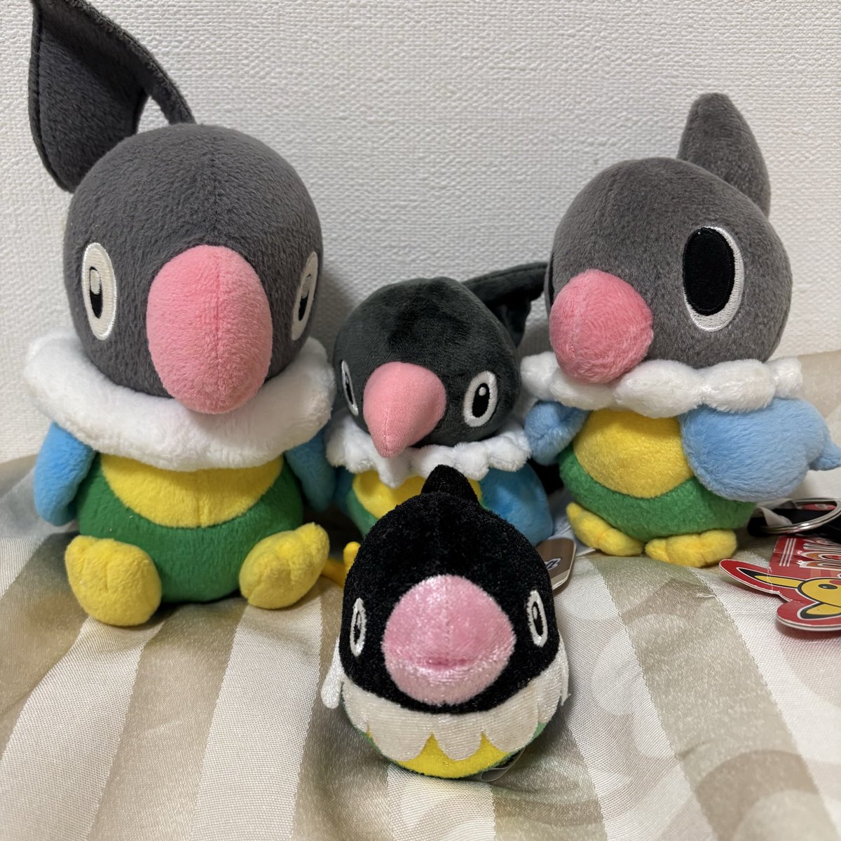 ペラップドール(タグ付き)だ！すごい