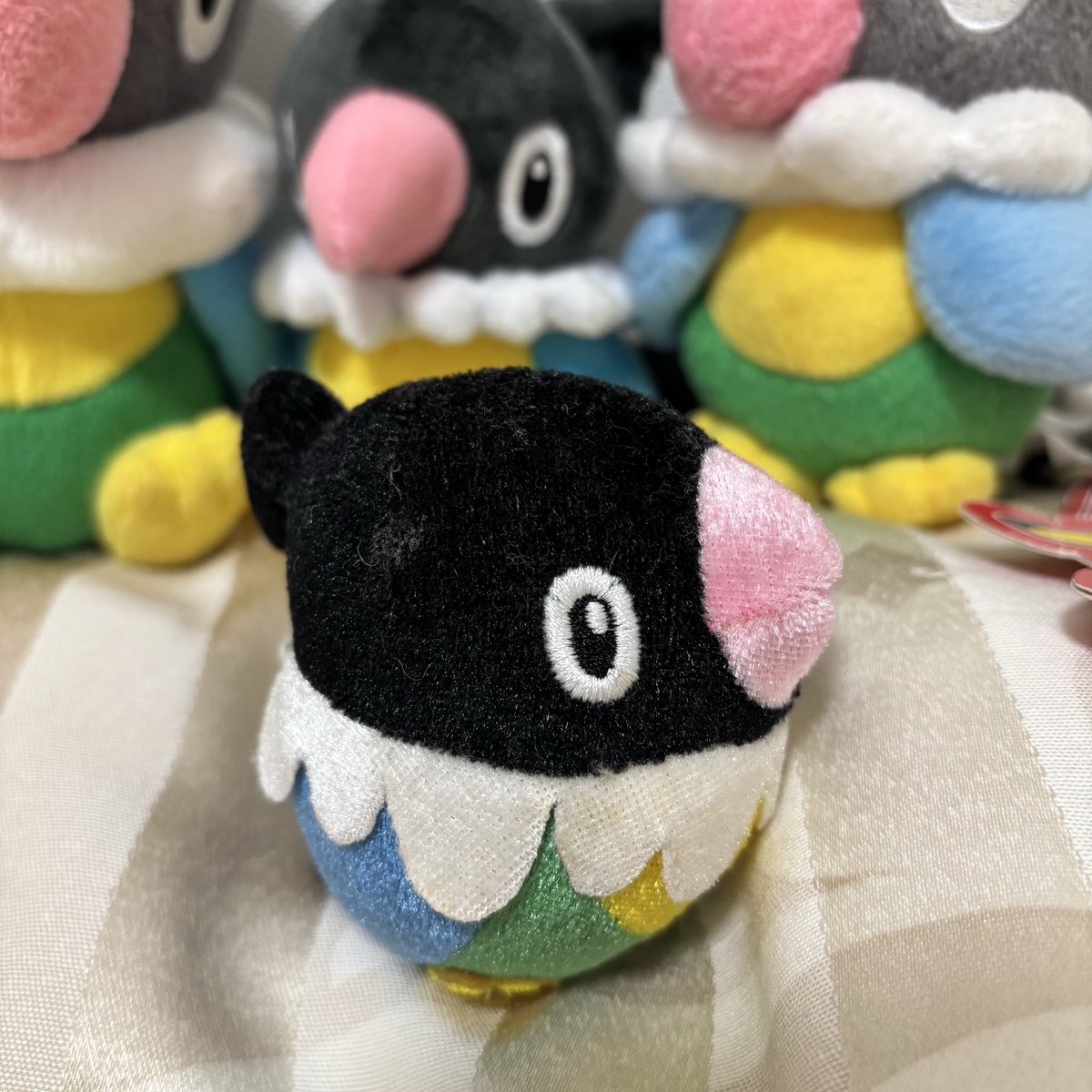 ペラップドール(タグ付き)だ！すごい