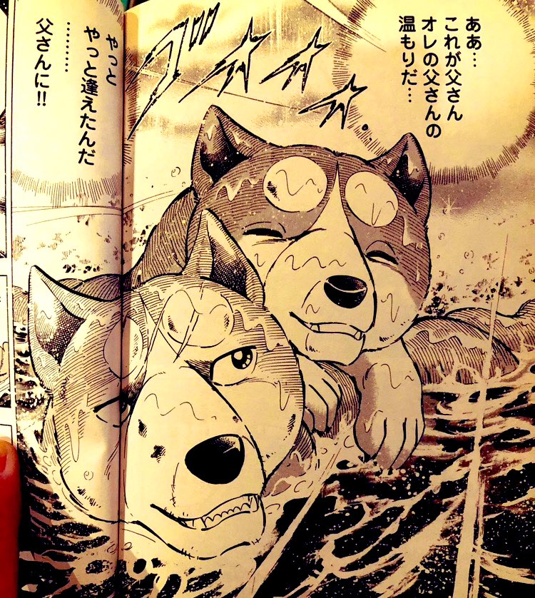 銀牙伝説WEED読み直し 銀とウィード名シーン🎬 ああ… これが父さん