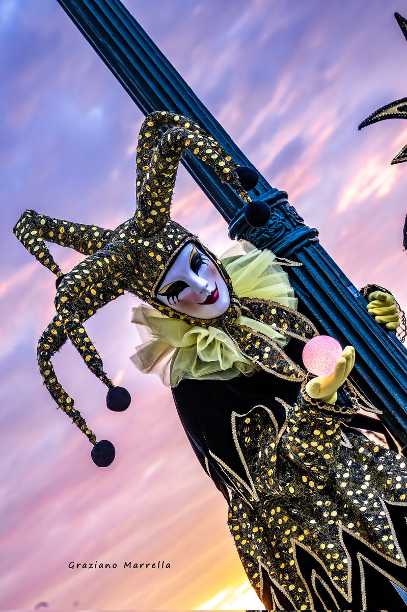 🌈 Graziano 🐺 tweet media