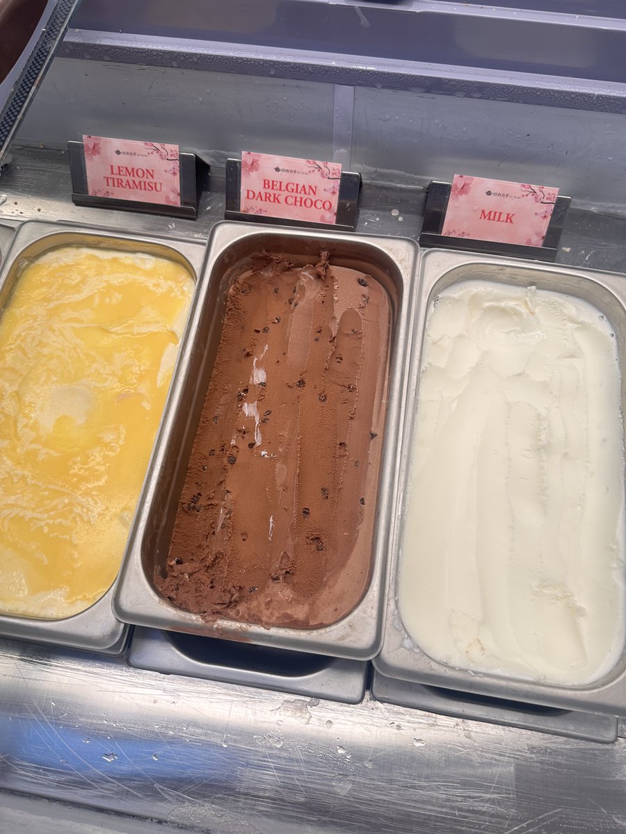 Dindin🪷 tweet media