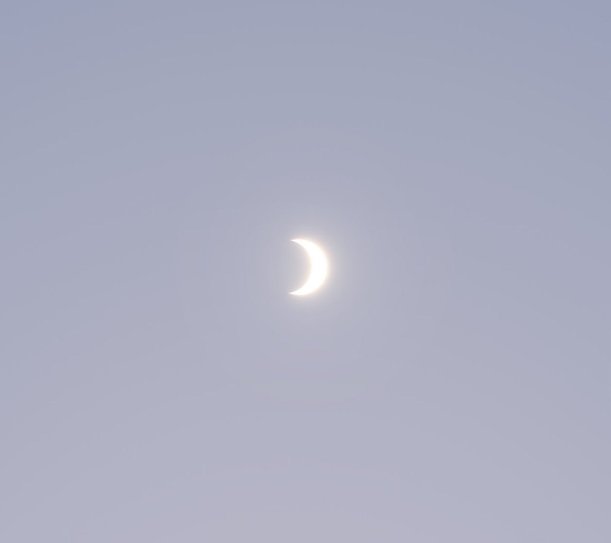 Saudi Expatriates tweet media