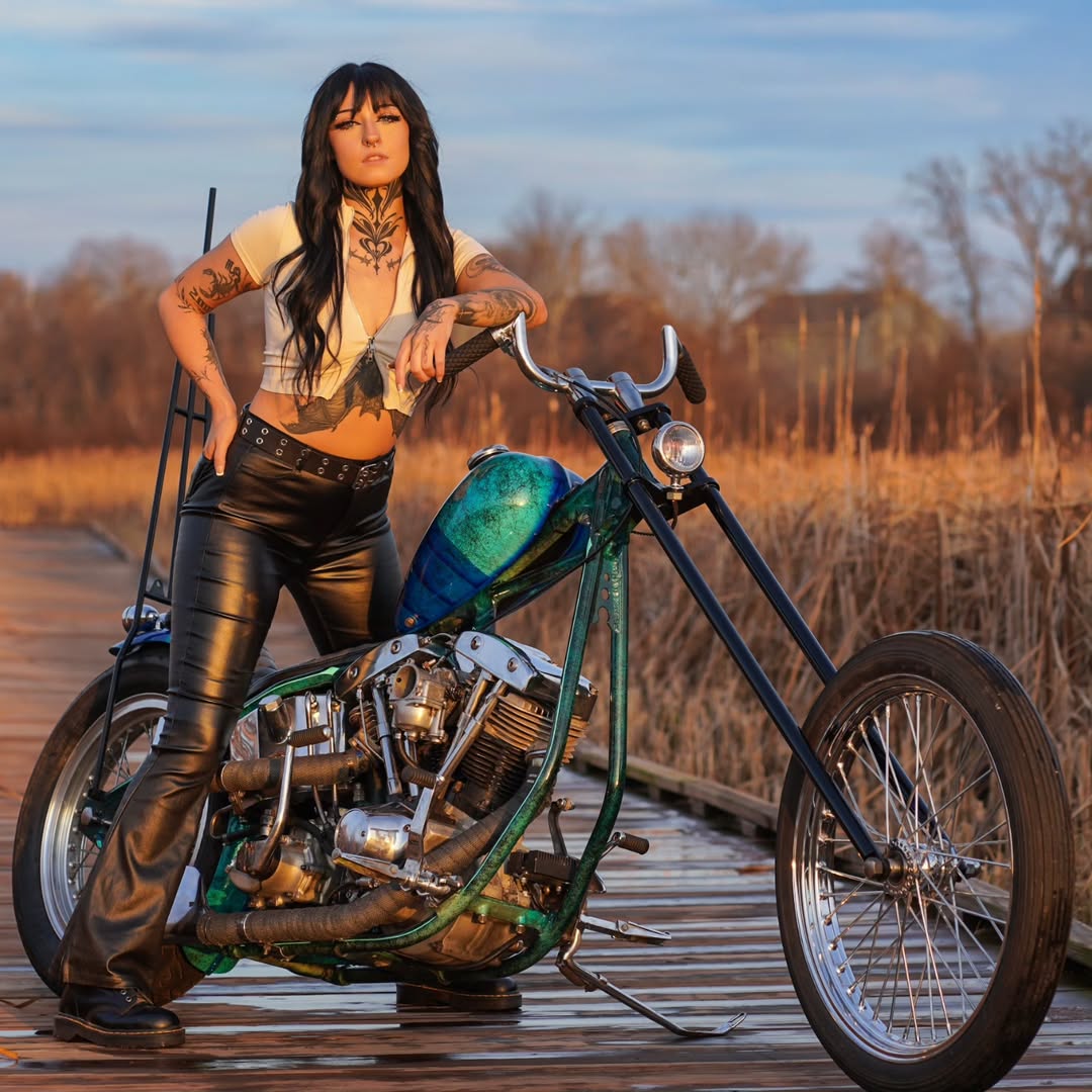 WilliamDai84622's tweet image. 