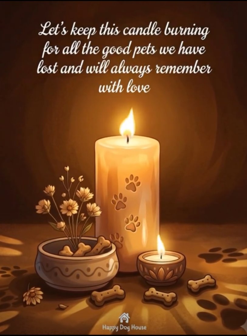 Elena 🇺🇸 tweet media