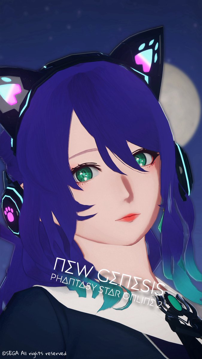 #メンテの日なのでssを貼る　⭐︎
#PSO2NGS_SS #PSO2NGS 

ドアップ📷✨🌙