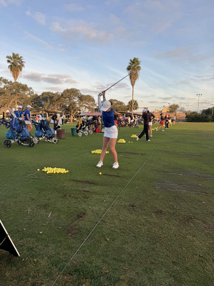 Brent🌵🏴‍☠️ tweet media