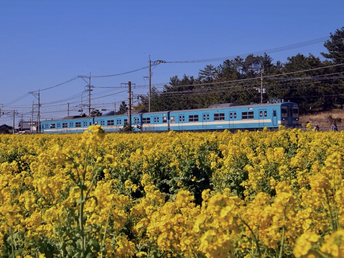 今日撮ってきた、動画から切り出した、写真イメージです♪
スチルは、フィルムで撮っているので、仕上がりが楽しみです😊
#福ふくの里 
#103系 
#国鉄色