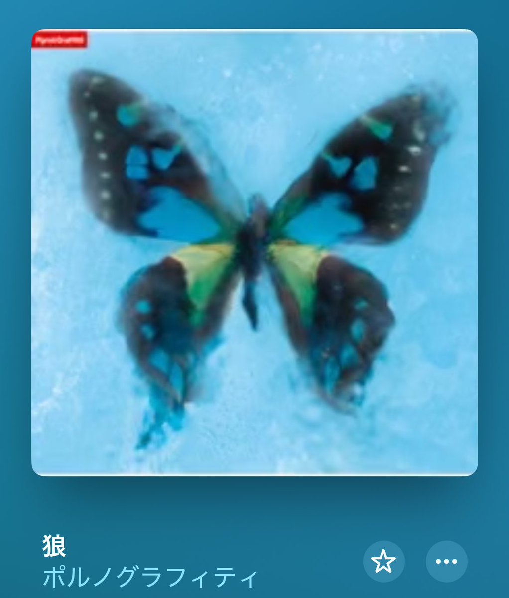 狼 /ポルノグラフィティ アゲハ蝶のカップリング ラテン系のメロディー