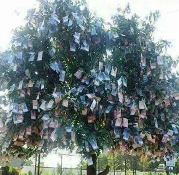 mentab ak w gx bisa diselami ges, kita nu konpo azah y, siafah mw nemenin manen poon enih?